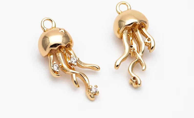 Jellyfish